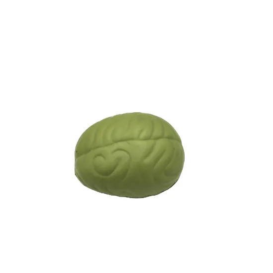 Customized Organ Brain Toys: The Latest Squishy Stress Relief Balls for Kids and Adults