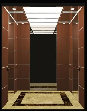 Modern Design Commercial Building Elevator