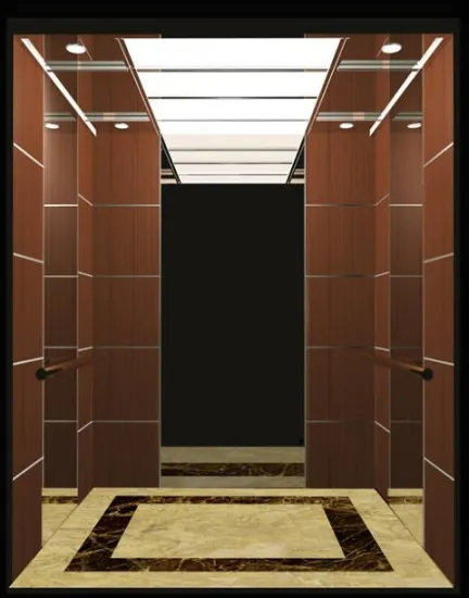 Modern Design Commercial Building Elevator