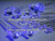 10mm UV LED Diode,360nm,370nm,380nm,390nm,400nm UV LED,5mm UV LED Lamp