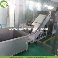 工場供給フルーツバルク機械乾燥ゴーリーベリー