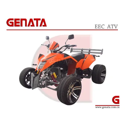 Ktm EEC ATV (GT300SM-R)