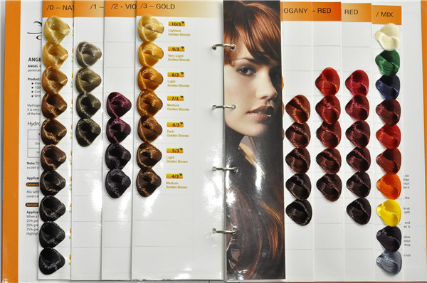 Professional Hair Color Cream Color Chart Factory Price Binder