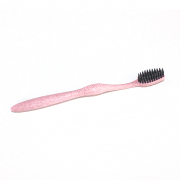 Wheat Straw Toothbrush Combination