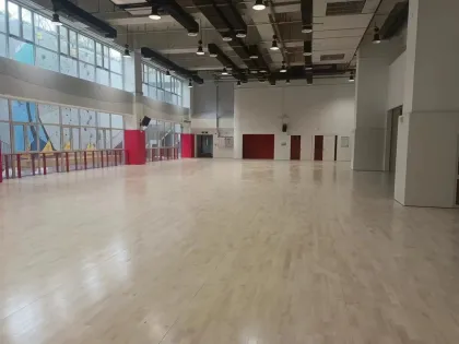 Enlio Professional Modular Sports Wooden Floor