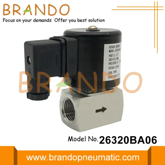 1/2'' Stainless Steel Steam Solenoid Valve 24VDC 220VAC