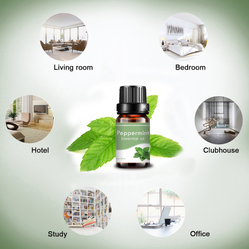 Factory supply food grade Peppermint oil bulk