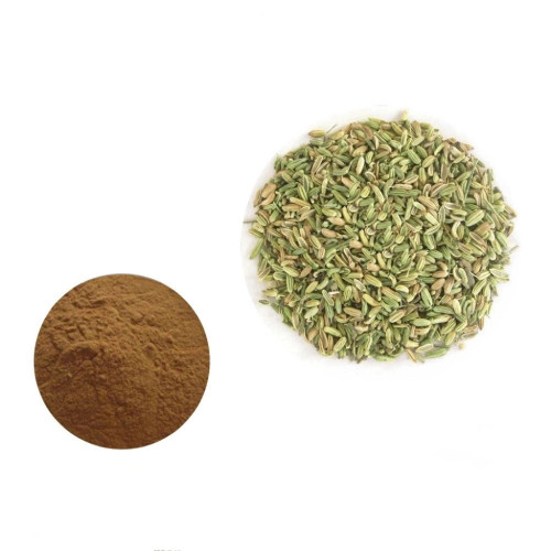 Hot Sale Fennel Extract