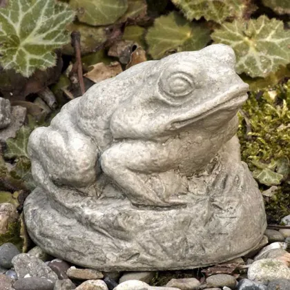 With mother's love as the theme of the frog sculpture on a fishing trip