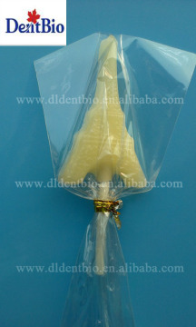 Funny Sweet Lollipop