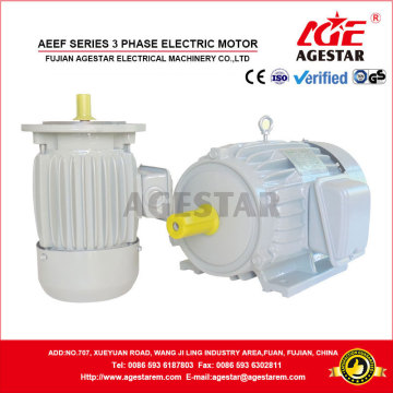 AEEF Series Three phase Electric motor
