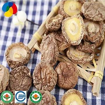 Dried  Lentinula Edodes With High Nutritional Value