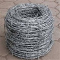 Prix ​​de fil barbelé galvanisé en gros par conception de clôture en fil de fer barbelé