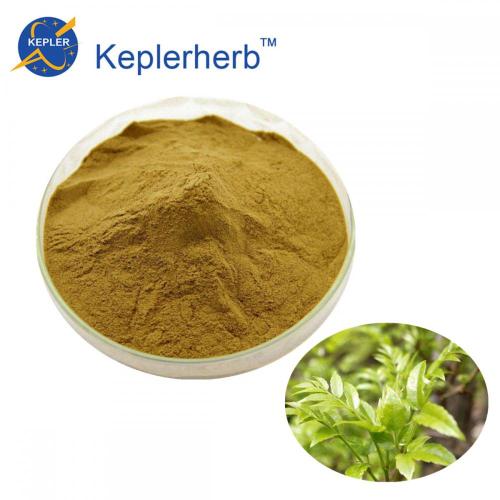 Herpe Extract Olive Leaf High Quality Rattan tea extract Manufactory
