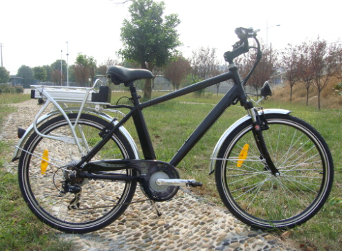 CE Approved 250W Low Price Bicicletta Elettrica with Battery 36V Li-ion