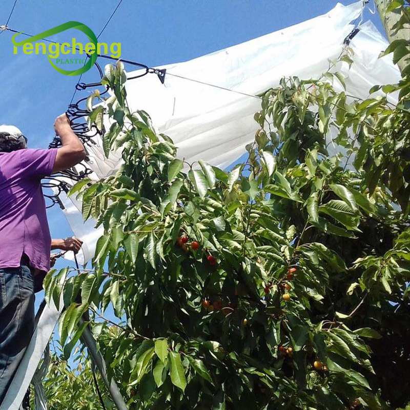 Uv Plastic Tarp With Clips