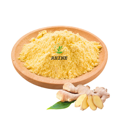 Orgânico 100% natural gengibre amarelo pó de gingerol 5%