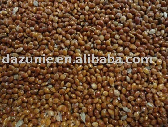 Red Millet