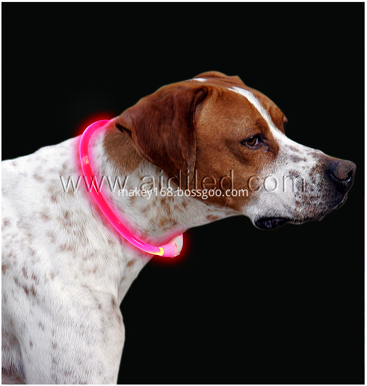 Colorful Shiny Dog Collar Colorful Shiny Dog Collar