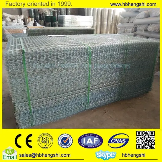 New design welded wire mesh with great price