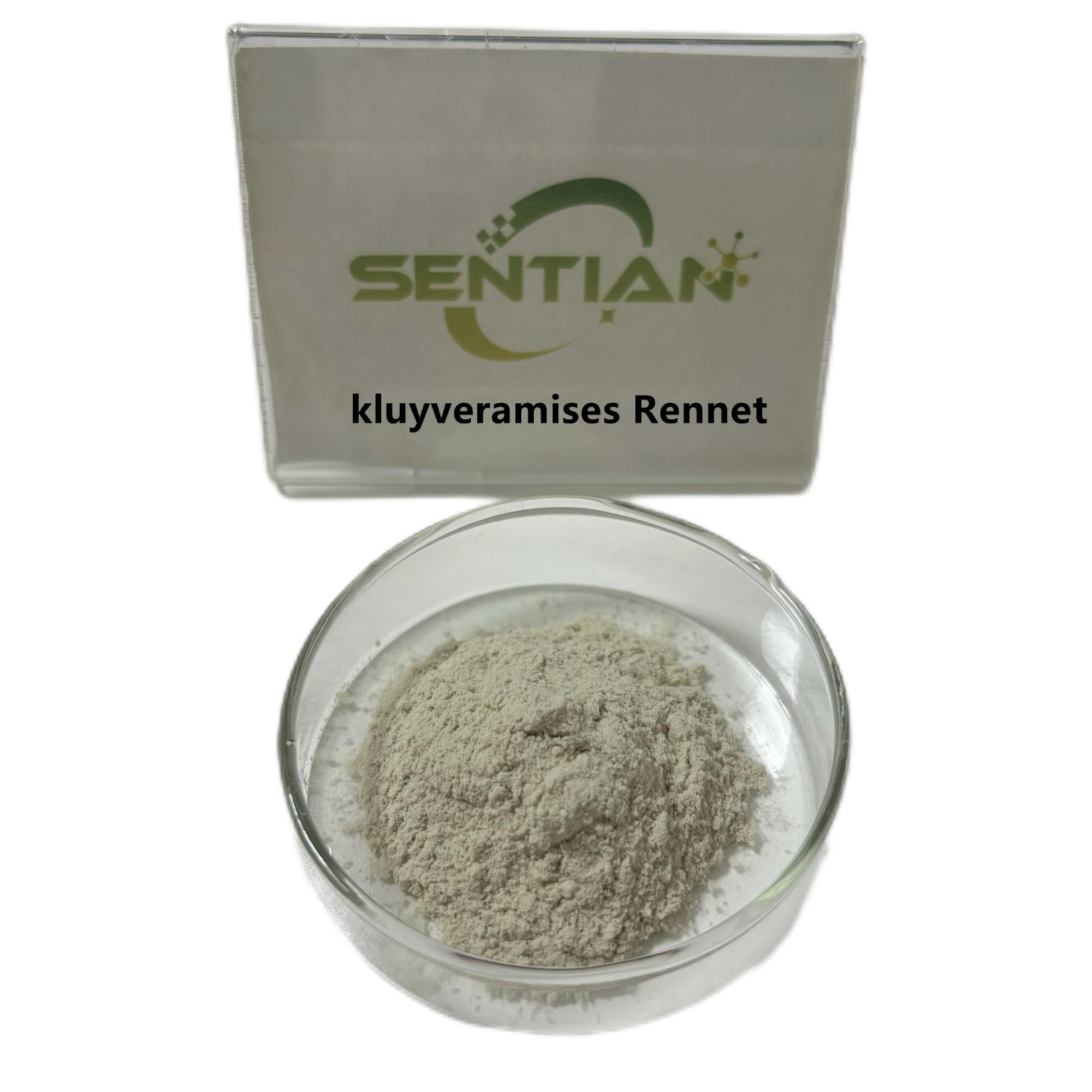 Microbial Rennet chymosin for cheese kluyveramises Rennet