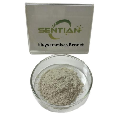Microbial Rennet chymosin for cheese kluyveramises Rennet