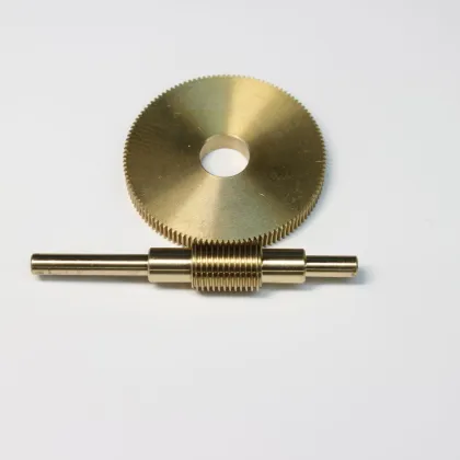 Customized CNC Machining Services for Small Worm Drive Gears in China