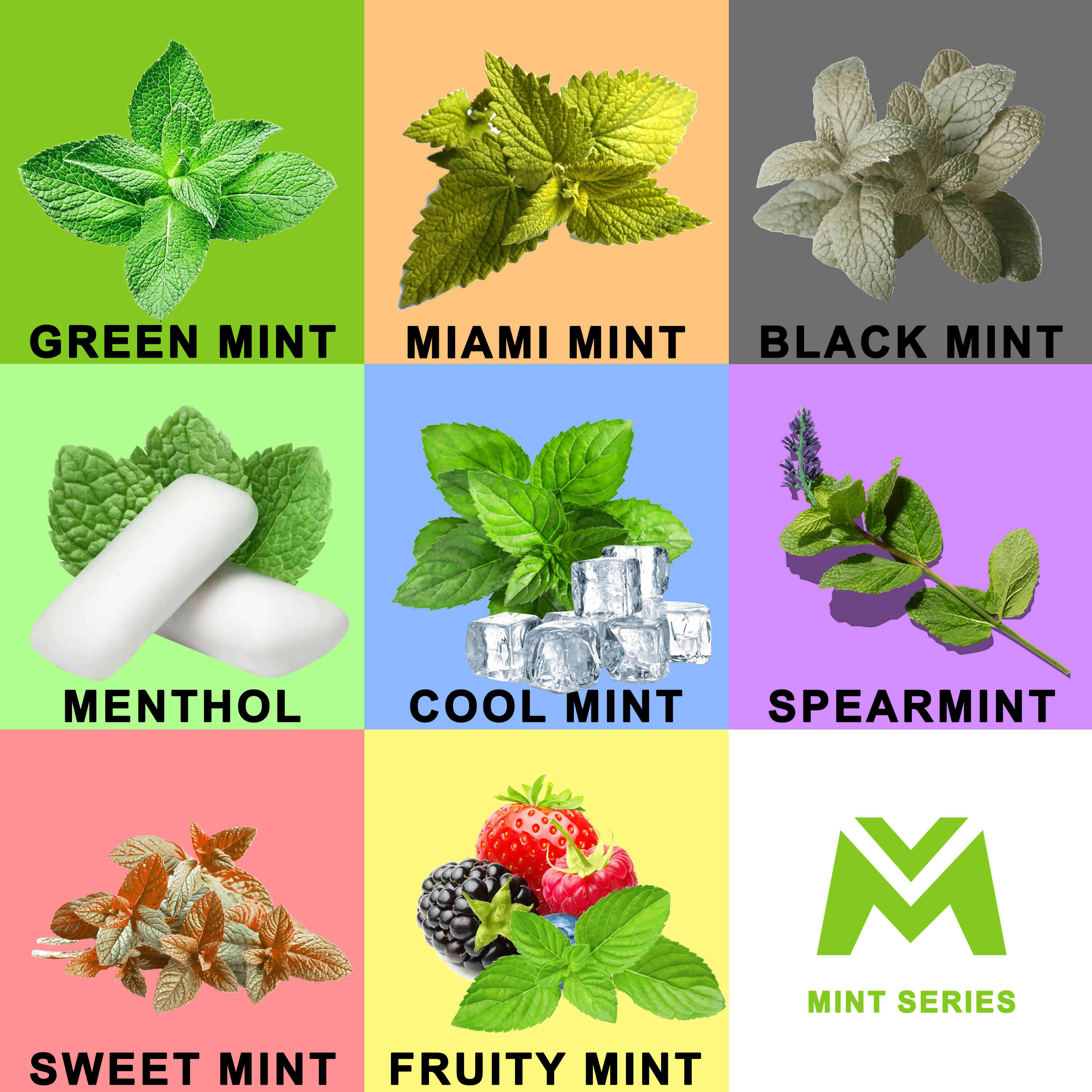 FDA Mint