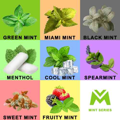 FDA Mint