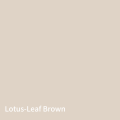 Water Resistant Zero Formaldehyde Doors Lotus-Leaf Brown