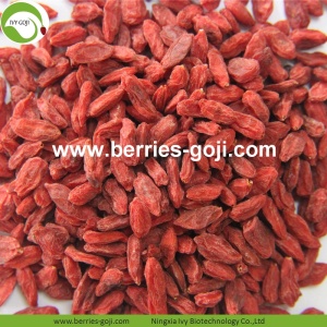 Factory Supply Fruits Nutrition For Sale Goji Berry