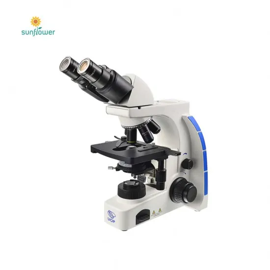 Beifang Electron Microscope: Enhancing Precision in Injector Valve Assembly