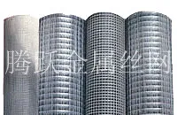Welded Wire Mesh