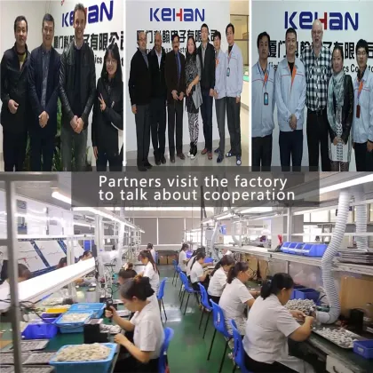 Factory Direct Customizable 6-Pin JST-GH to DF13 Cable Harness for Electronics