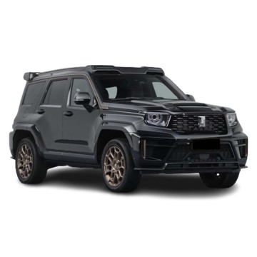 2024 Luxury Vendita di lusso Nuovo SUV ENERGY SUV 700-5-dors 5 posti 200 km/h Velocità massima