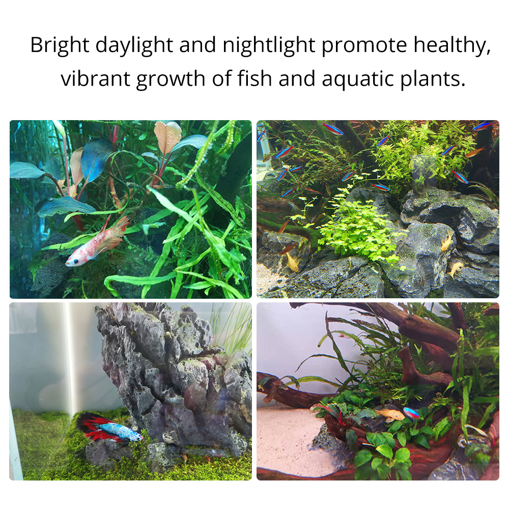 Led Aquarium Light