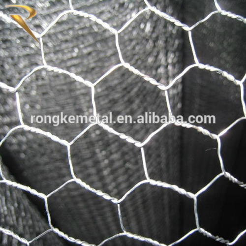 Hexagonal wire mesh