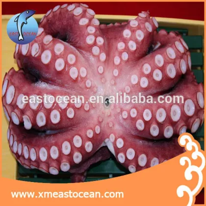 HACCP Ocean frozen seafood boiled style octopus