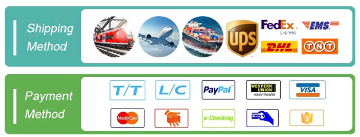 Payment and shipping