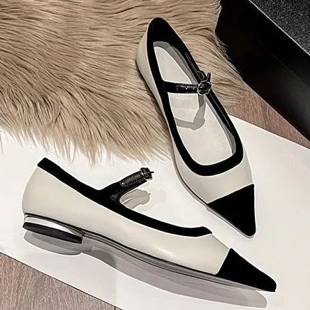 Assorted Color Classic Pointed Toe Flat Shoes & Mary Jane Style for Women in Genuine Leather
