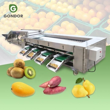 Pepper Strawberry &amp; Citrus Fruit Sorter: Mesin penilaian ukuran kenari 5 ton/jam "Namun, untuk membuatnya lebih ringkas dan fokus, Anda mungkin mempertimbangkan:" Mesin Penyortiran Buah: 5 ton/jam lada, stroberi, jeruk, kenari "judul in