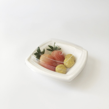 360ml square bowl bagasse bowl