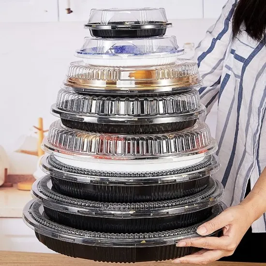 Recyclable PET Plastic Japanese Takeaway Sushi Box