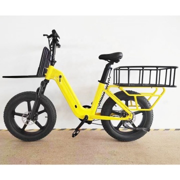 Aangepaste 500W 48V elektrische vrachtfiets met Bakfiets Design: stap door Fat Tyre Dutch Bike