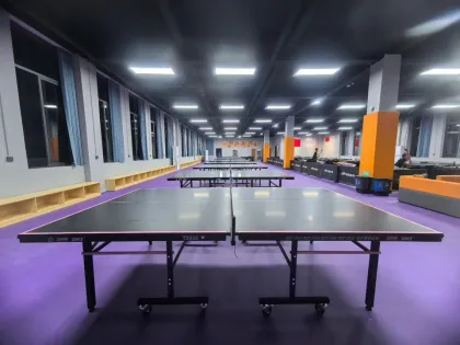 Durable PVC sports floor for table tennis hall