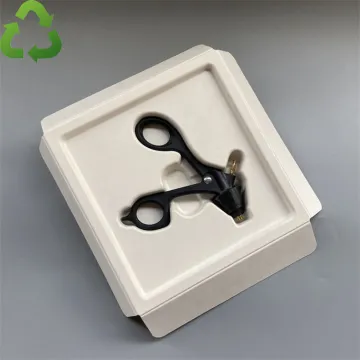 Biodegradable sugarcane tray insert pulp molded packaging