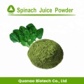 Freeze Dried Spinach Juice Powder