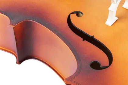 Tayste Quality Maple Cello 4/4