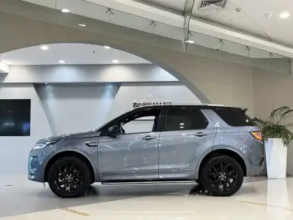 Sport 2021 249PS R-Dynamic S Performance Gray