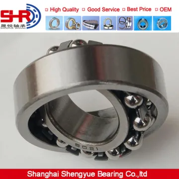 Stainless steel self-aligning ball bearing with good price